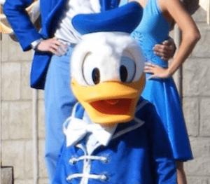 Donald Duck Dream Along With Mickey