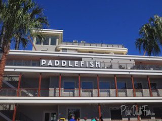 Paddlefish Appetizer Review at Disney Springs