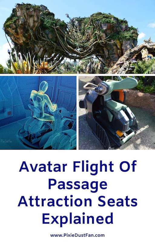 Avatar Flight Of Passage Seats Explained