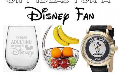 Gift Ideas For A Disney Fan