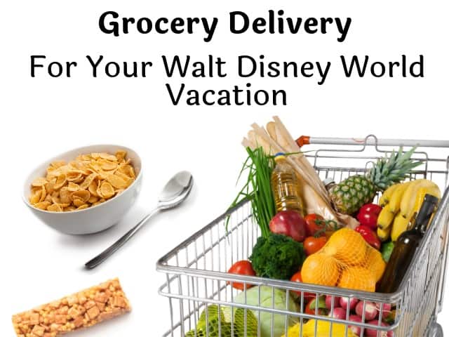 Walt Disney World Grocery Delivery