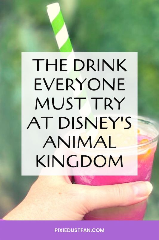 The drink that everyone should try at Disney\'s Animal Kingdom
